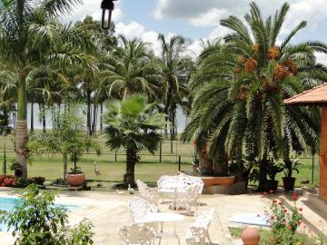 Comprar Rural / Ch&aacute;cara em Pereira Barreto R$ 3.500.000,00 - Foto 13