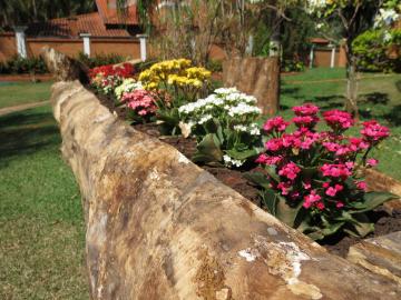 Comprar Rural / Ch&aacute;cara em Pereira Barreto R$ 3.500.000,00 - Foto 15