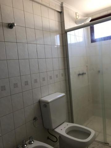 Alugar Apartamento / Padr&atilde;o em S&atilde;o Jos&eacute; do Rio Preto R$ 900,00 - Foto 7