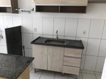 Alugar Apartamento / Padr&atilde;o em S&atilde;o Jos&eacute; do Rio Preto R$ 800,00 - Foto 5