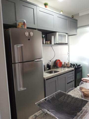 Comprar Apartamento / Padr&atilde;o em S&atilde;o Jos&eacute; do Rio Preto R$ 500.000,00 - Foto 4
