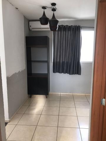 Alugar Apartamento / Padr&atilde;o em S&atilde;o Jos&eacute; do Rio Preto. apenas R$ 660,00