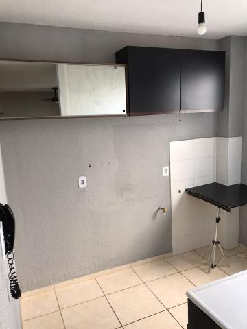 Alugar Apartamento / Padr&atilde;o em S&atilde;o Jos&eacute; do Rio Preto R$ 660,00 - Foto 8