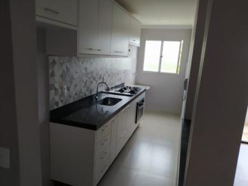 Apartamento / Padr&atilde;o em S&atilde;o Jos&eacute; do Rio Preto 