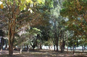 Rural / Ch&aacute;cara em Adolfo 