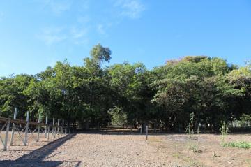 Comprar Rural / Ch&aacute;cara em Adolfo R$ 320.000,00 - Foto 2