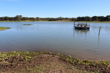 Comprar Rural / Ch&aacute;cara em Adolfo R$ 320.000,00 - Foto 3