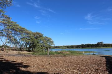 Comprar Rural / Ch&aacute;cara em Adolfo R$ 320.000,00 - Foto 4