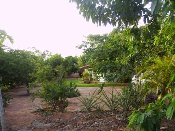 Comprar Rural / Ch&aacute;cara em Adolfo R$ 320.000,00 - Foto 5
