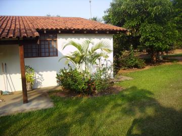 Comprar Rural / Ch&aacute;cara em Adolfo R$ 320.000,00 - Foto 6