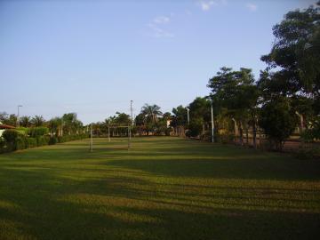 Comprar Rural / Ch&aacute;cara em Adolfo R$ 320.000,00 - Foto 14