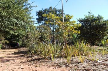 Comprar Rural / Ch&aacute;cara em Adolfo R$ 320.000,00 - Foto 18