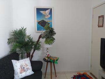 Comprar Apartamento / Padr&atilde;o em S&atilde;o Jos&eacute; do Rio Preto R$ 170.000,00 - Foto 5