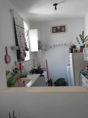 Comprar Apartamento / Padr&atilde;o em S&atilde;o Jos&eacute; do Rio Preto R$ 170.000,00 - Foto 8