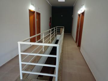 Alugar Comercial / Sala em S&atilde;o Jos&eacute; do Rio Preto R$ 1.250,00 - Foto 10