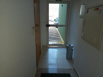 Alugar Comercial / Sala em S&atilde;o Jos&eacute; do Rio Preto R$ 1.250,00 - Foto 14