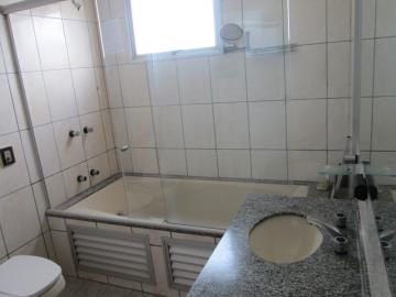 Alugar Apartamento / Cobertura em S&atilde;o Jos&eacute; do Rio Preto R$ 3.000,00 - Foto 14