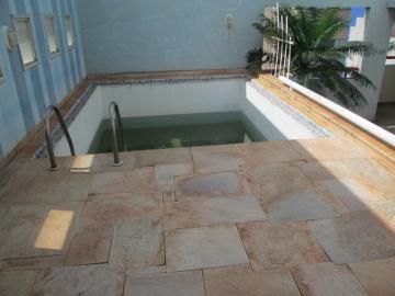 Alugar Apartamento / Cobertura em S&atilde;o Jos&eacute; do Rio Preto R$ 3.000,00 - Foto 5