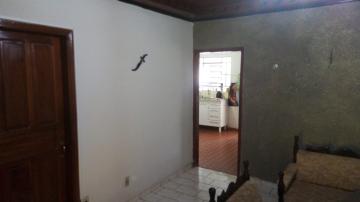 Comprar Casa / Padr&atilde;o em Cedral R$ 250.000,00 - Foto 3