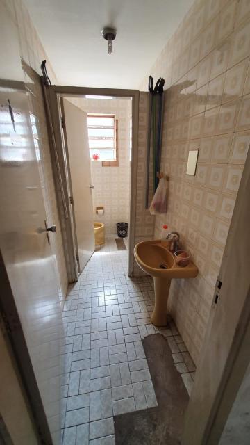 Alugar Comercial / Sal&atilde;o em S&atilde;o Jos&eacute; do Rio Preto R$ 5.000,00 - Foto 4