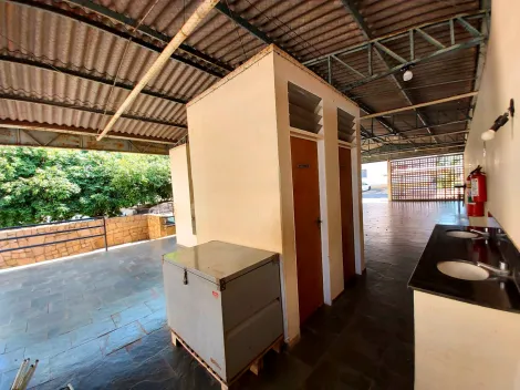 Alugar Apartamento / Padr&atilde;o em S&atilde;o Jos&eacute; do Rio Preto R$ 600,00 - Foto 13
