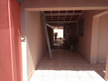 Alugar Casa / Padr&atilde;o em S&atilde;o Jos&eacute; do Rio Preto. apenas R$ 1.300,00