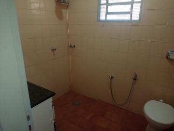 Alugar Casa / Padr&atilde;o em S&atilde;o Jos&eacute; do Rio Preto R$ 1.300,00 - Foto 4