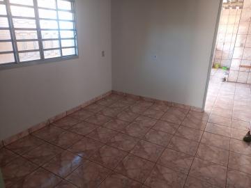 Alugar Casa / Padr&atilde;o em S&atilde;o Jos&eacute; do Rio Preto R$ 1.300,00 - Foto 5