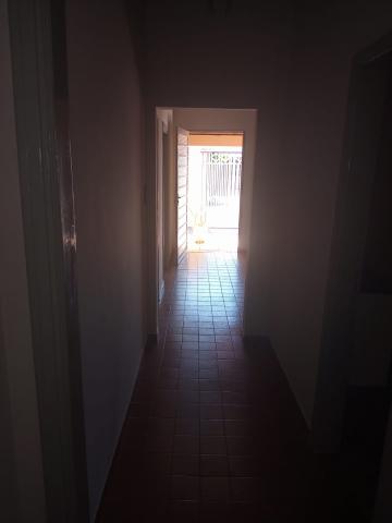 Alugar Casa / Padr&atilde;o em S&atilde;o Jos&eacute; do Rio Preto R$ 1.300,00 - Foto 7