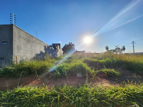 Alugar Terreno / Padr&atilde;o em S&atilde;o Jos&eacute; do Rio Preto. apenas R$ 135.000,00