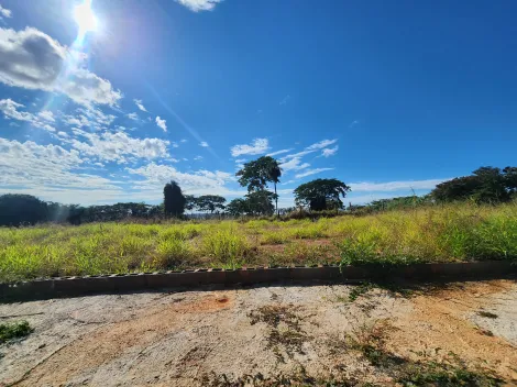 Alugar Terreno / Padr&atilde;o em S&atilde;o Jos&eacute; do Rio Preto. apenas R$ 94.000,00