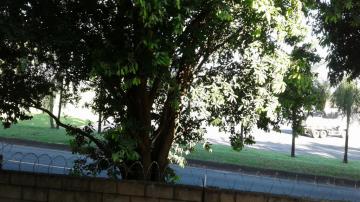 Alugar Apartamento / Padr&atilde;o em S&atilde;o Jos&eacute; do Rio Preto R$ 700,00 - Foto 11