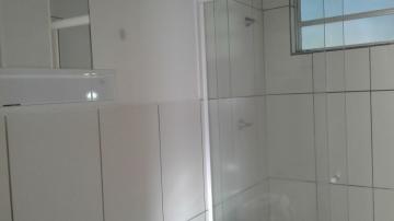 Alugar Apartamento / Padr&atilde;o em S&atilde;o Jos&eacute; do Rio Preto R$ 700,00 - Foto 10
