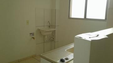 Alugar Apartamento / Padr&atilde;o em S&atilde;o Jos&eacute; do Rio Preto R$ 700,00 - Foto 21