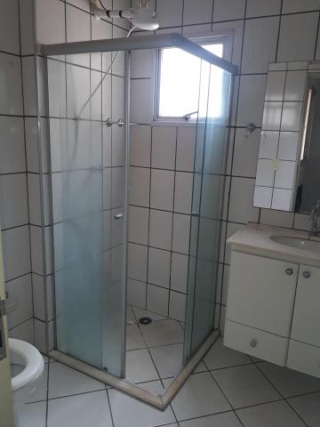Alugar Apartamento / Padr&atilde;o em S&atilde;o Jos&eacute; do Rio Preto R$ 1.500,00 - Foto 7