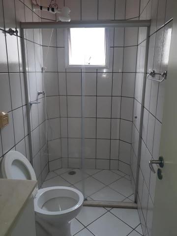 Alugar Apartamento / Padr&atilde;o em S&atilde;o Jos&eacute; do Rio Preto R$ 1.500,00 - Foto 8