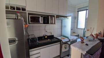 Alugar Apartamento / Padr&atilde;o em S&atilde;o Jos&eacute; do Rio Preto. apenas R$ 185.000,00