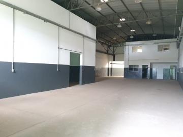 Alugar Comercial / Sal&atilde;o em S&atilde;o Jos&eacute; do Rio Preto R$ 7.000,00 - Foto 4