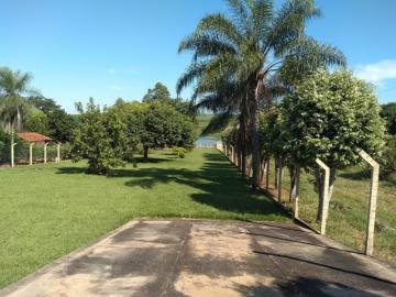 Comprar Rural / Ch&aacute;cara em Adolfo R$ 450.000,00 - Foto 4