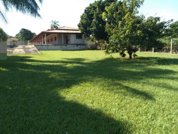 Comprar Rural / Ch&aacute;cara em Adolfo R$ 450.000,00 - Foto 5