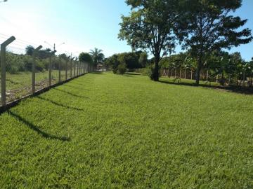 Comprar Rural / Ch&aacute;cara em Adolfo R$ 450.000,00 - Foto 6
