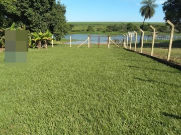 Comprar Rural / Ch&aacute;cara em Adolfo R$ 450.000,00 - Foto 7