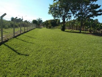 Comprar Rural / Ch&aacute;cara em Adolfo R$ 450.000,00 - Foto 8