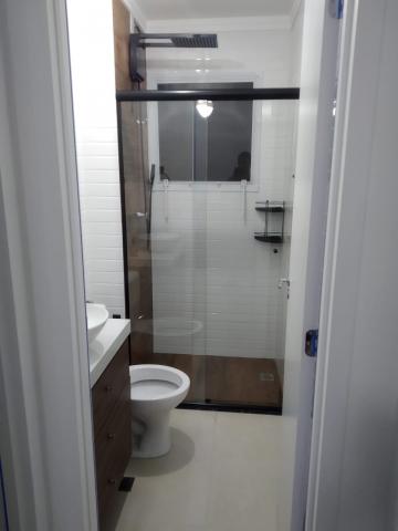 Alugar Apartamento / Padr&atilde;o em S&atilde;o Jos&eacute; do Rio Preto R$ 1.600,00 - Foto 7