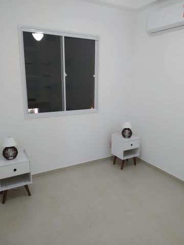 Alugar Apartamento / Padr&atilde;o em S&atilde;o Jos&eacute; do Rio Preto R$ 1.600,00 - Foto 9
