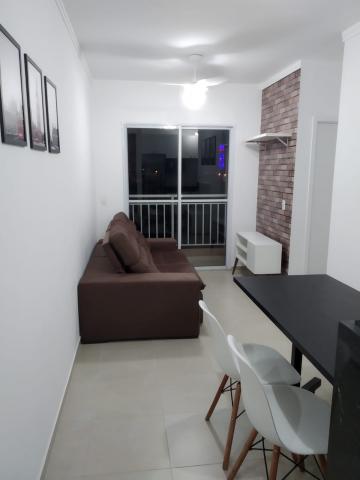 Alugar Apartamento / Padr&atilde;o em S&atilde;o Jos&eacute; do Rio Preto R$ 1.600,00 - Foto 11