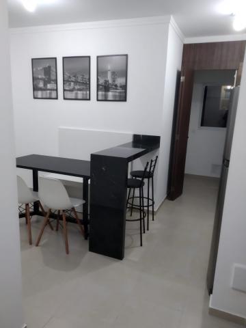 Alugar Apartamento / Padr&atilde;o em S&atilde;o Jos&eacute; do Rio Preto R$ 1.600,00 - Foto 14