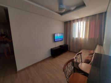 Alugar Apartamento / Padr&atilde;o em S&atilde;o Jos&eacute; do Rio Preto R$ 800,00 - Foto 4