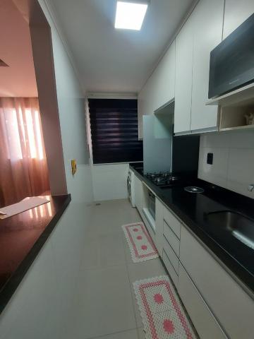 Alugar Apartamento / Padr&atilde;o em S&atilde;o Jos&eacute; do Rio Preto R$ 800,00 - Foto 6