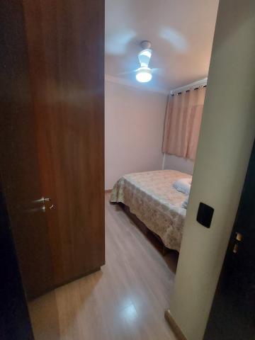 Alugar Apartamento / Padr&atilde;o em S&atilde;o Jos&eacute; do Rio Preto R$ 800,00 - Foto 11